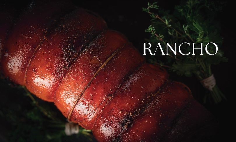 Sample content 3_Convivir