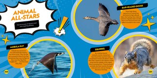 Sample content_Coolest Animals on the Planet