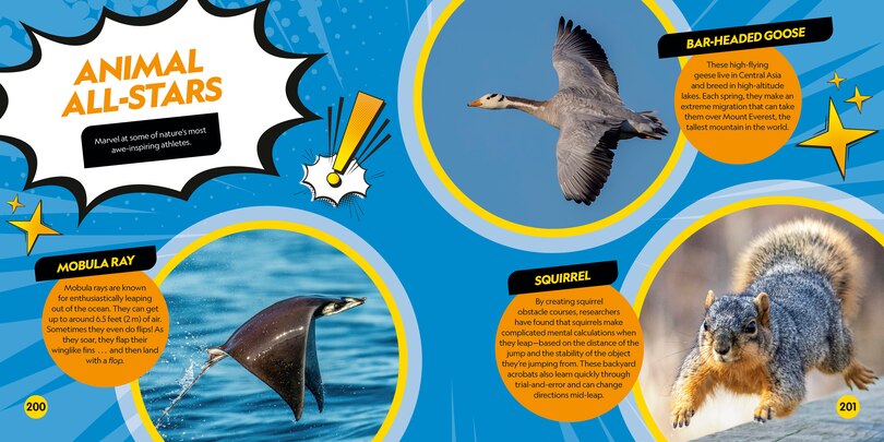 Sample content_Coolest Animals on the Planet