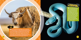 Sample content 3_Coolest Animals on the Planet