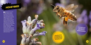 Sample content 4_Coolest Animals on the Planet