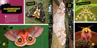 Sample content 5_Coolest Animals on the Planet