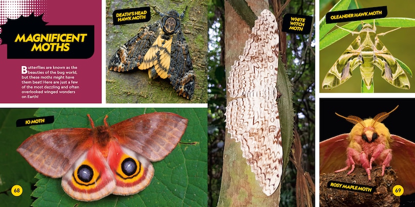 Sample content 5_Coolest Animals on the Planet