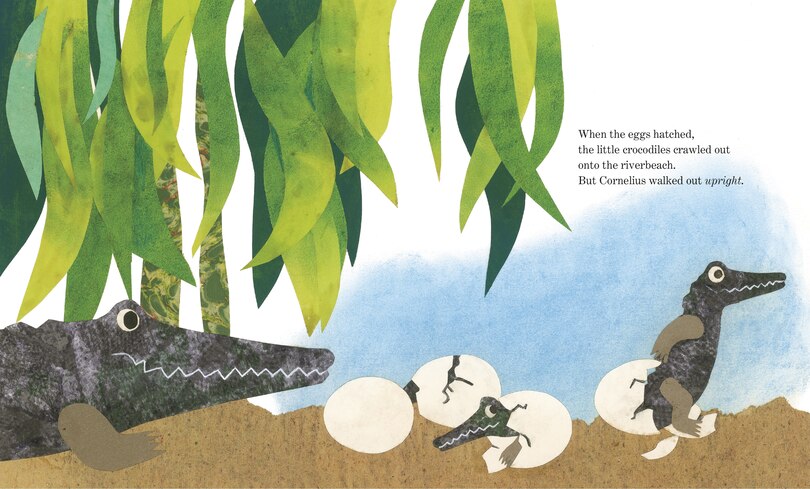 Sample content_Cornelius (Oversized Board Book)