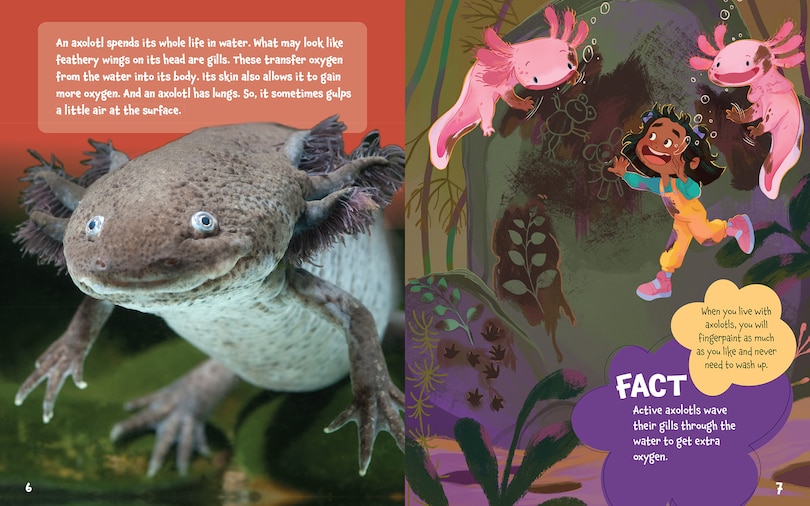 Aper&ccedil;u du contenu 2_Could You Ever Smile with Axolotls!?