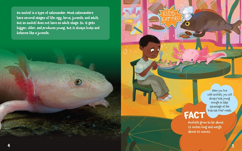 Sample content 3_Could You Ever Smile with Axolotls!?