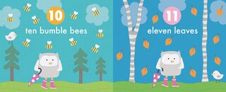 Sample content_Counting With Owl And Bird