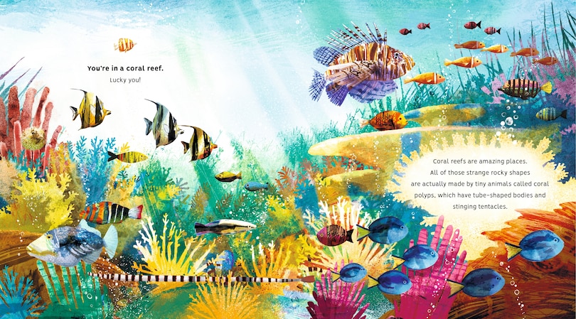 Sample content_Creatures of the Coral Reef