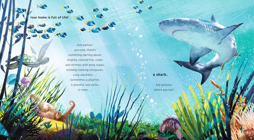 Sample content 2_Creatures of the Coral Reef