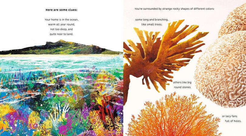 Sample content 3_Creatures of the Coral Reef