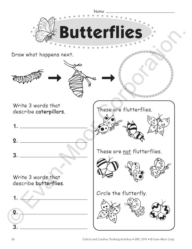 Sample content 5_Critical and Creative Thinking Activities, Grade 1 Teacher Resource