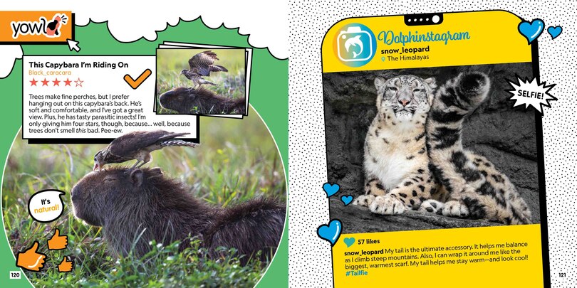 Sample content 5_Critter Chat: What if Animals Used Social Media?