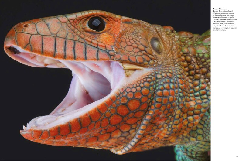 Aper&ccedil;u du contenu_Crocodiles, Alligators & Lizards