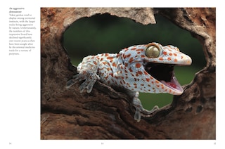 Aper&ccedil;u du contenu_Crocodiles, Alligators & Lizards