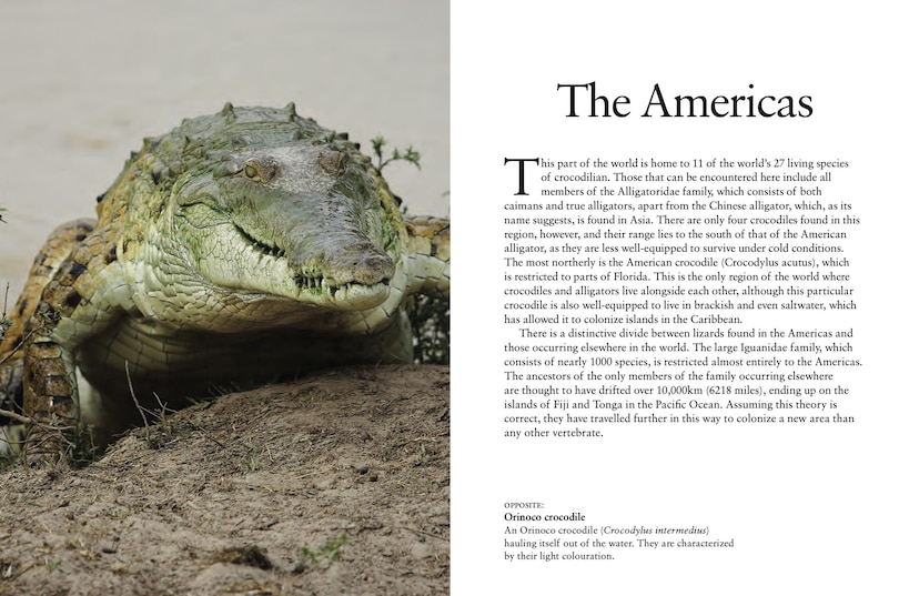 Aper&ccedil;u du contenu 4_Crocodiles, Alligators & Lizards
