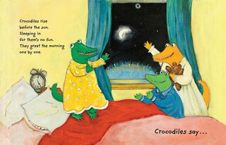 Sample content 3_Crocs in a Box