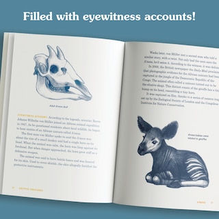 Aper&ccedil;u du contenu 4_Cryptid Creatures