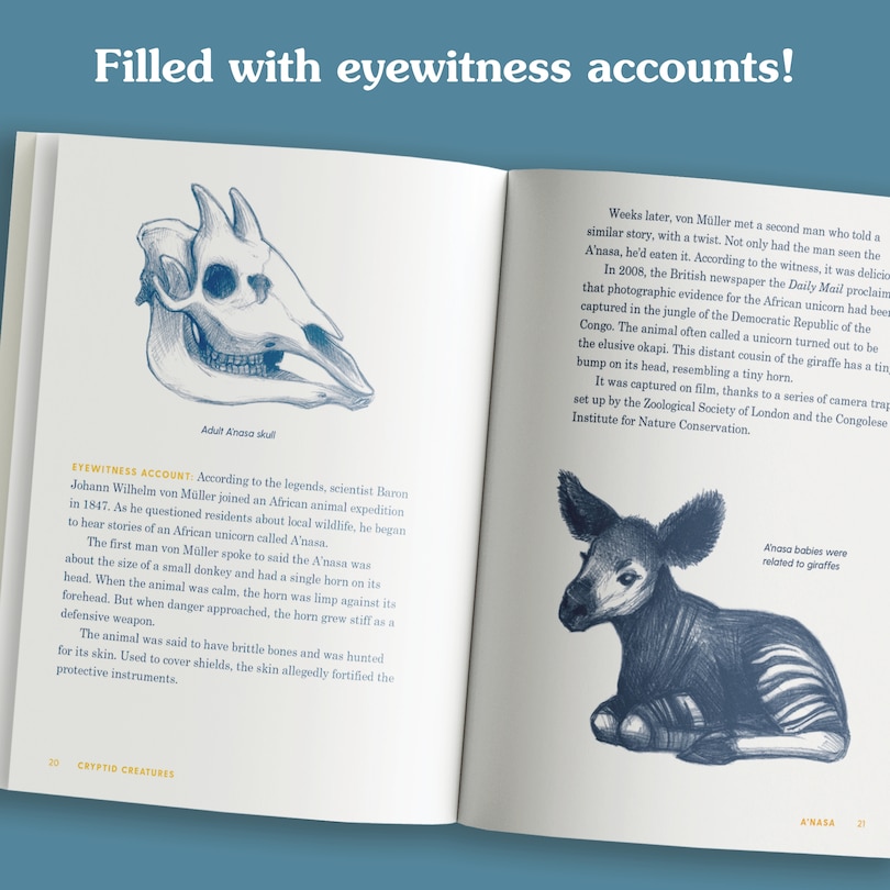 Aper&ccedil;u du contenu 4_Cryptid Creatures