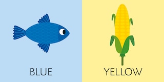 Sample content 3_CubeBooks: Toddler Basics