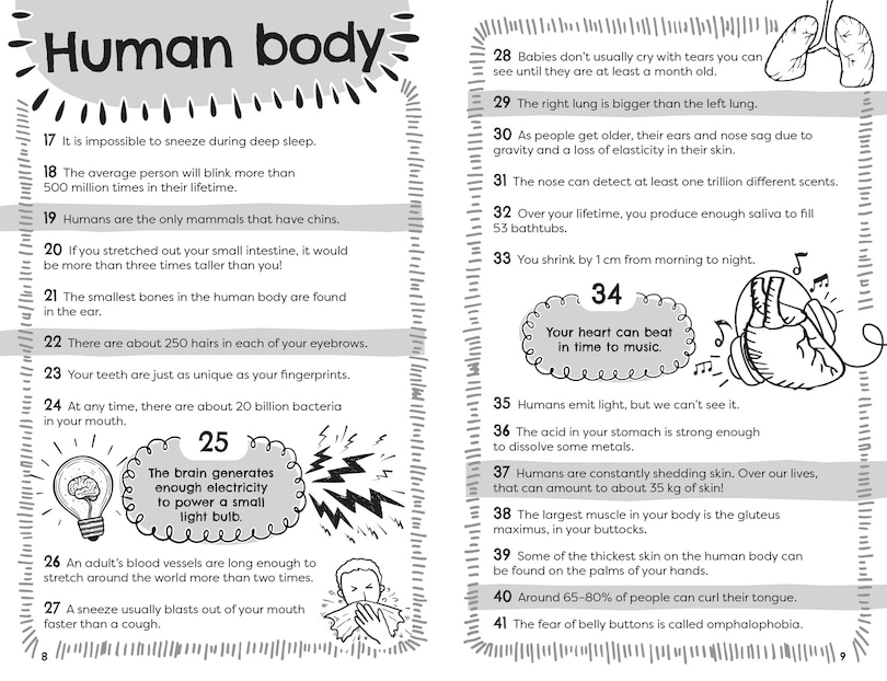 Sample content_Curious Facts About Everything