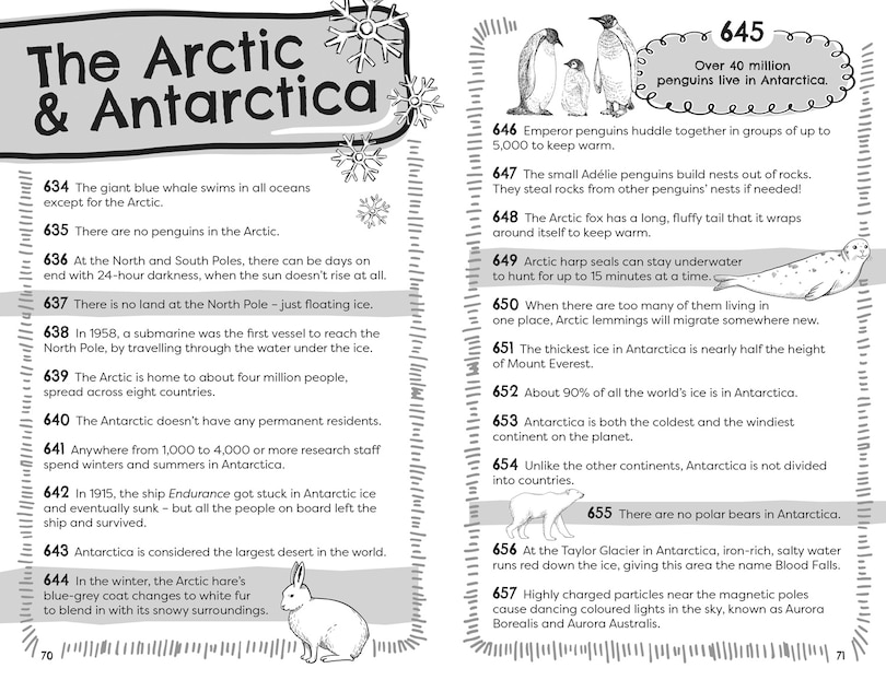 Sample content 3_Curious Facts About Everything