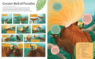 Aperçu du contenu_Curious Features of Extraordinary Creatures