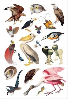 Aper&ccedil;u du contenu_Cut up this Book and Create Your Own Extraordinary Places