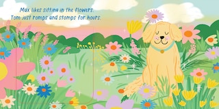 Sample content 3_Cute Dogs