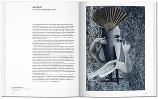 Aper&ccedil;u du contenu 3_Dada&iuml;sme