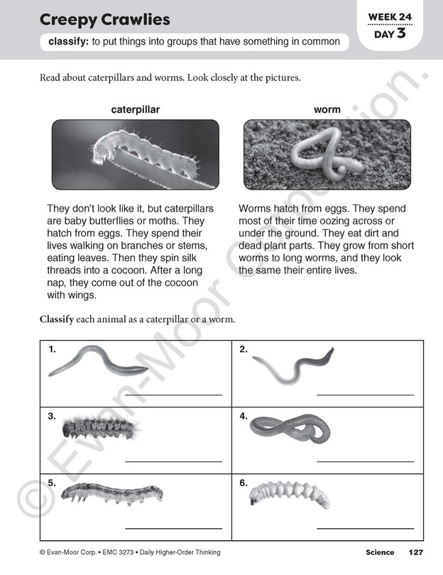 Sample content 3_Daily Higher-Order Thinking, Grade 3 Teacher Edition