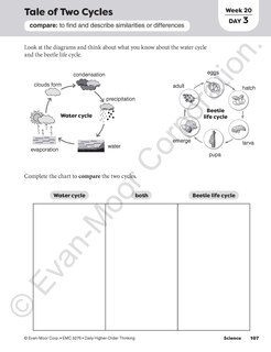 Sample content_Daily Higher-Order Thinking, Grade 5 Teacher Edition