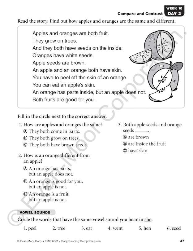 Sample content 2_Daily Reading Comprehension, Grade 1 Student Edition Workbook