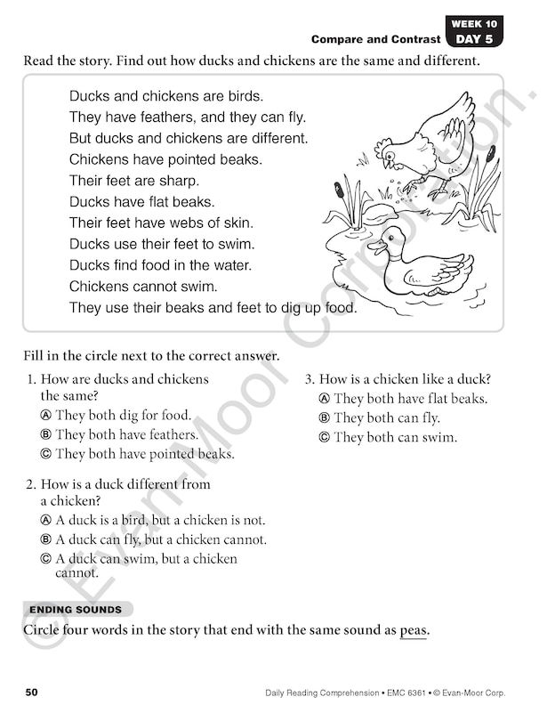 Sample content 5_Daily Reading Comprehension, Grade 1 Student Edition Workbook