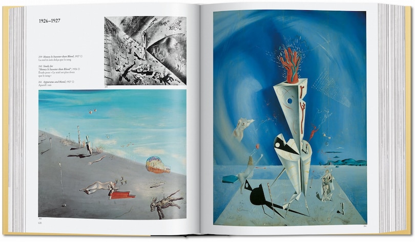 Aperçu du contenu 5_Dalí. L'œuvre peint