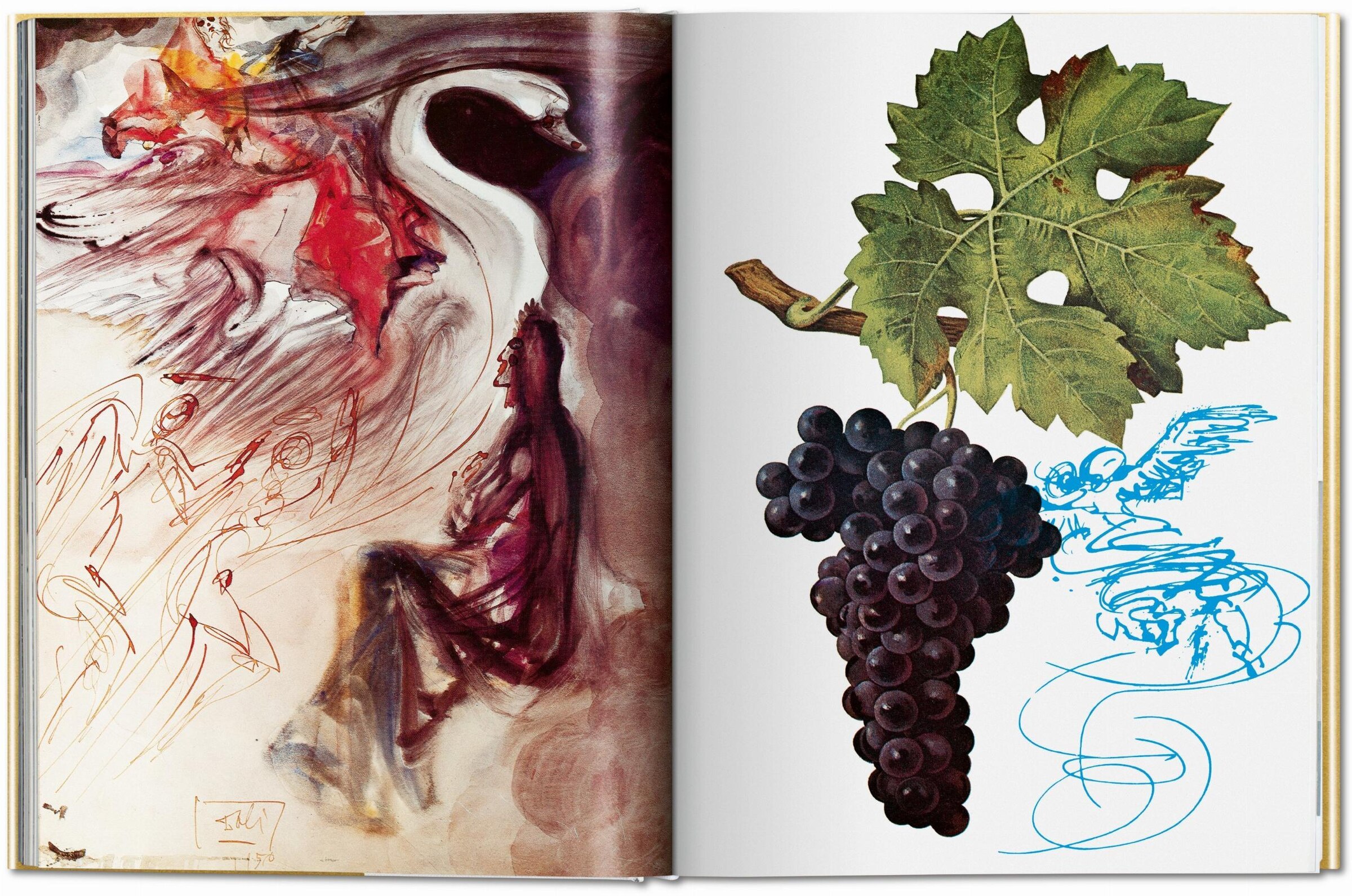 Dalí. The Wines Of Gala ('tc') | Indigo