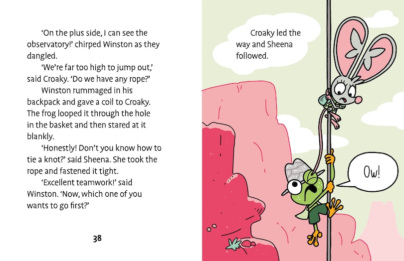 Aper&ccedil;u du contenu 4_Danger at Crater Canyon