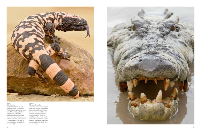 Aperçu du contenu 4_Dangerous Animals