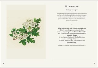 Sample content_Darling Buds