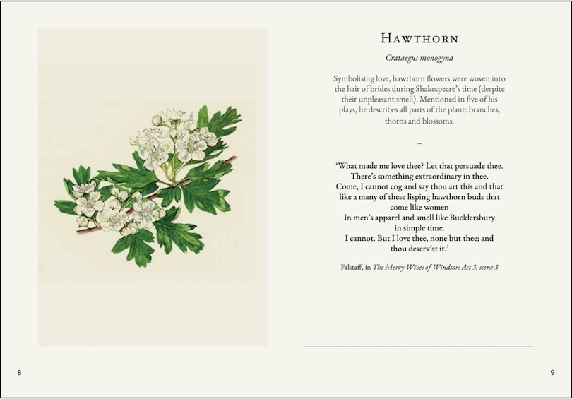 Sample content_Darling Buds