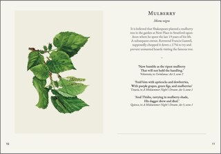 Sample content 2_Darling Buds