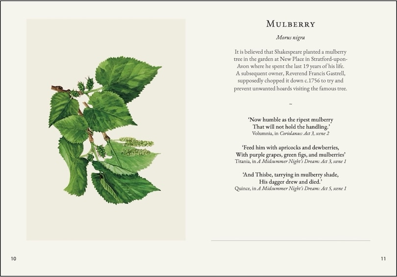 Sample content 2_Darling Buds