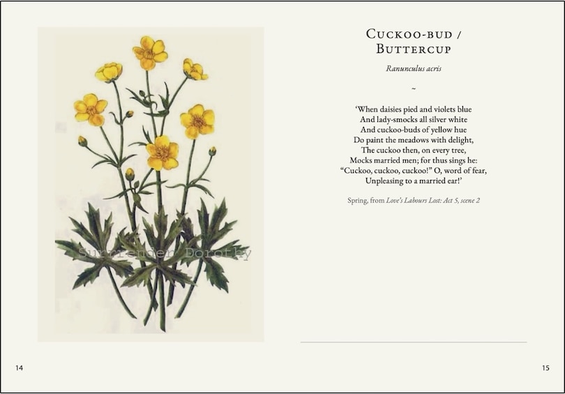 Sample content 3_Darling Buds