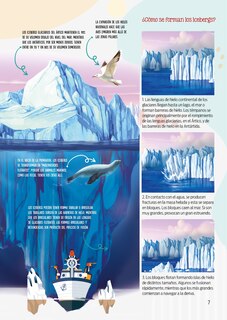 Sample content 5_Datos curiosos sobre el medio ambiente y su cuidado / Curious Facts about the Environment and How to Care for It