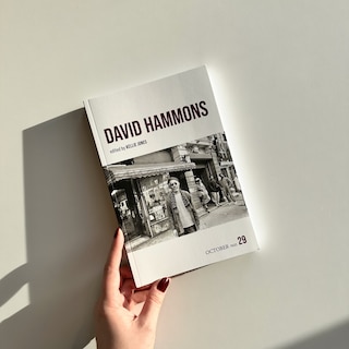 Sample content_David Hammons