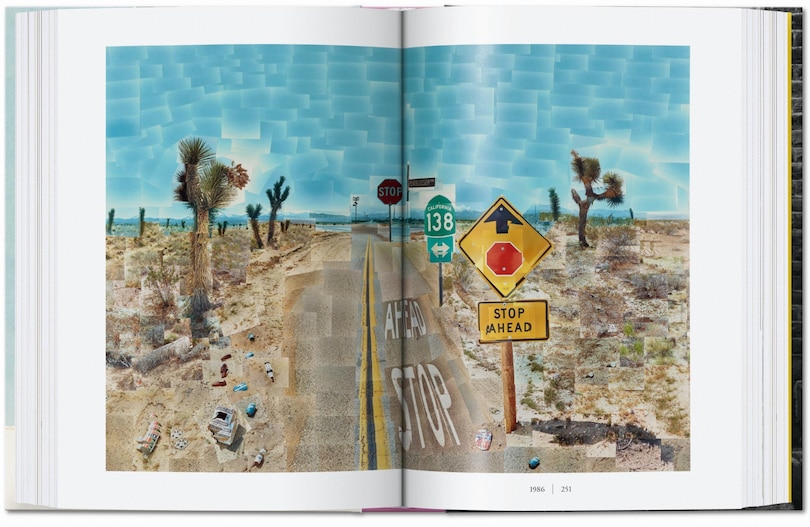 Sample content 3_David Hockney. A Chronology. 45th Ed.