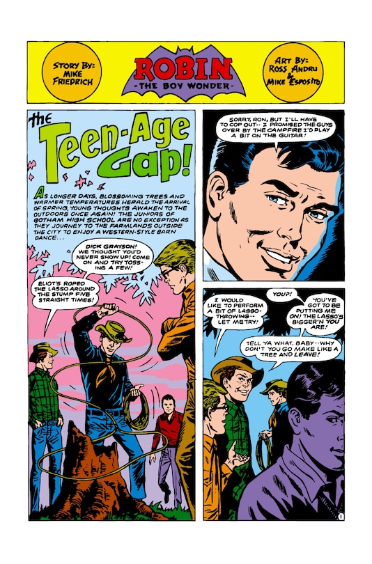 Aper&ccedil;u du contenu 4_DC Finest: Robin: The Origin of Robin