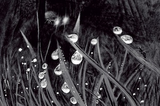 Sample content 5_Dead Man Walking