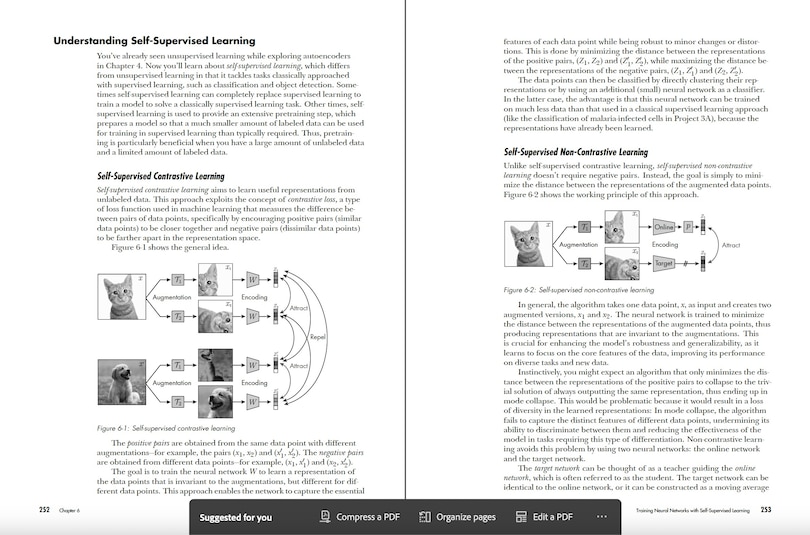 Sample content 4_Deep Learning Crash Course