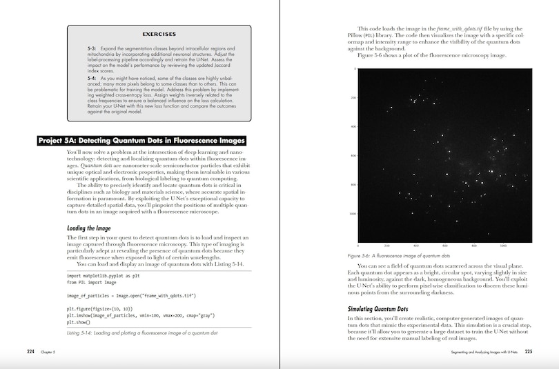 Sample content 5_Deep Learning Crash Course