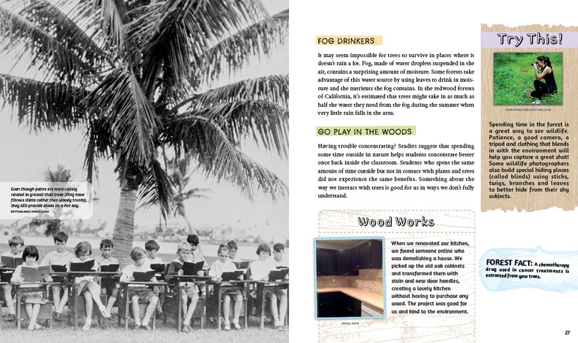 Sample content_Deep Roots